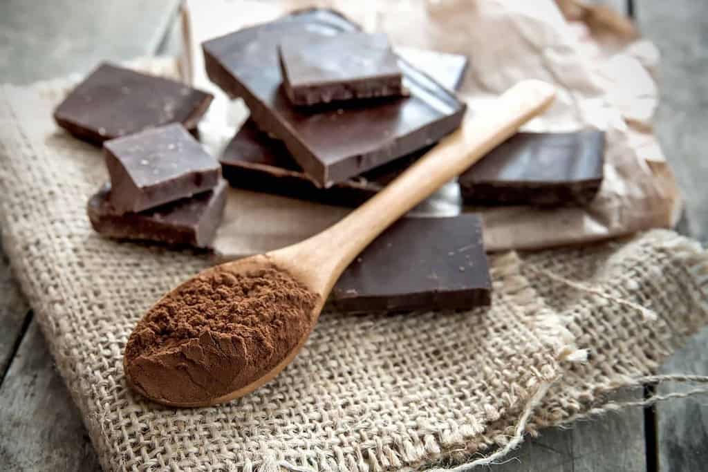 Dlaczego czekolada jest toksyczna dla psa?
