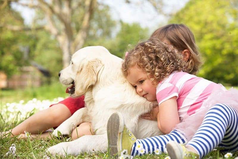 Jak przygotować dziecko na przybycie psa?