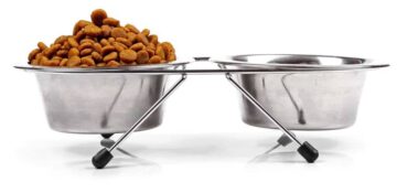 Cukrzyca u psa i kota: dieta