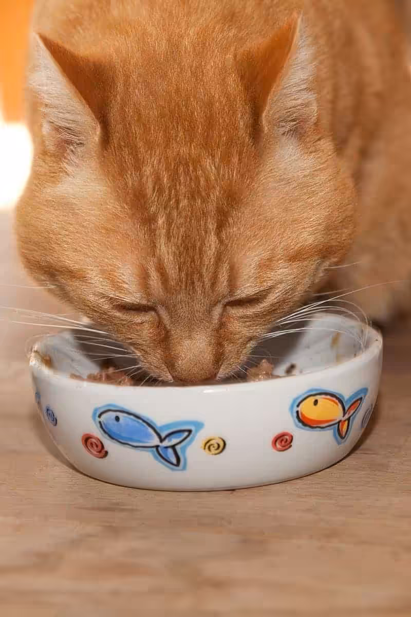 Odpowiednia dieta wspomaga leczenie cukrzycy