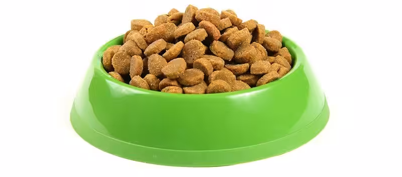 Dieta psa i kota chorego na wątrobę