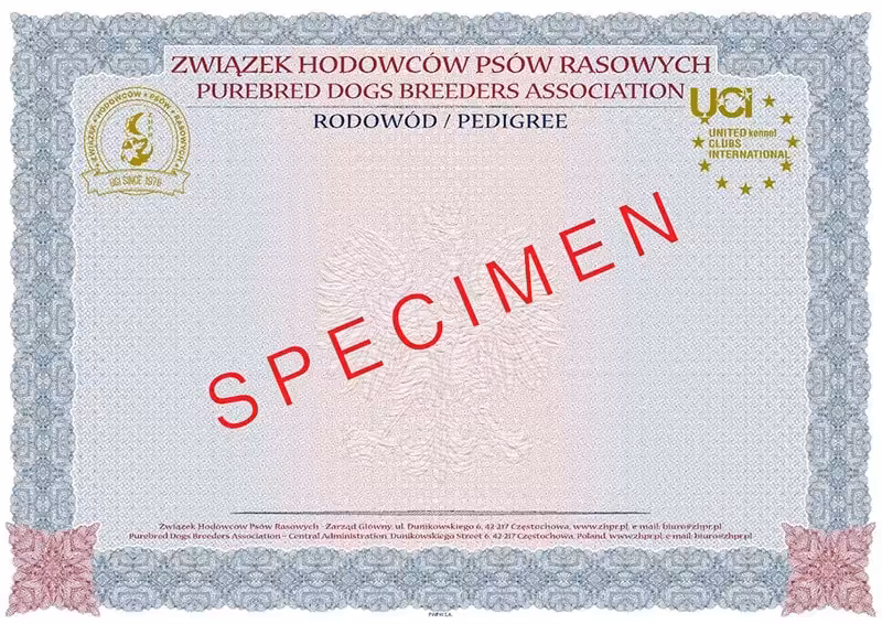 Rodowód psa