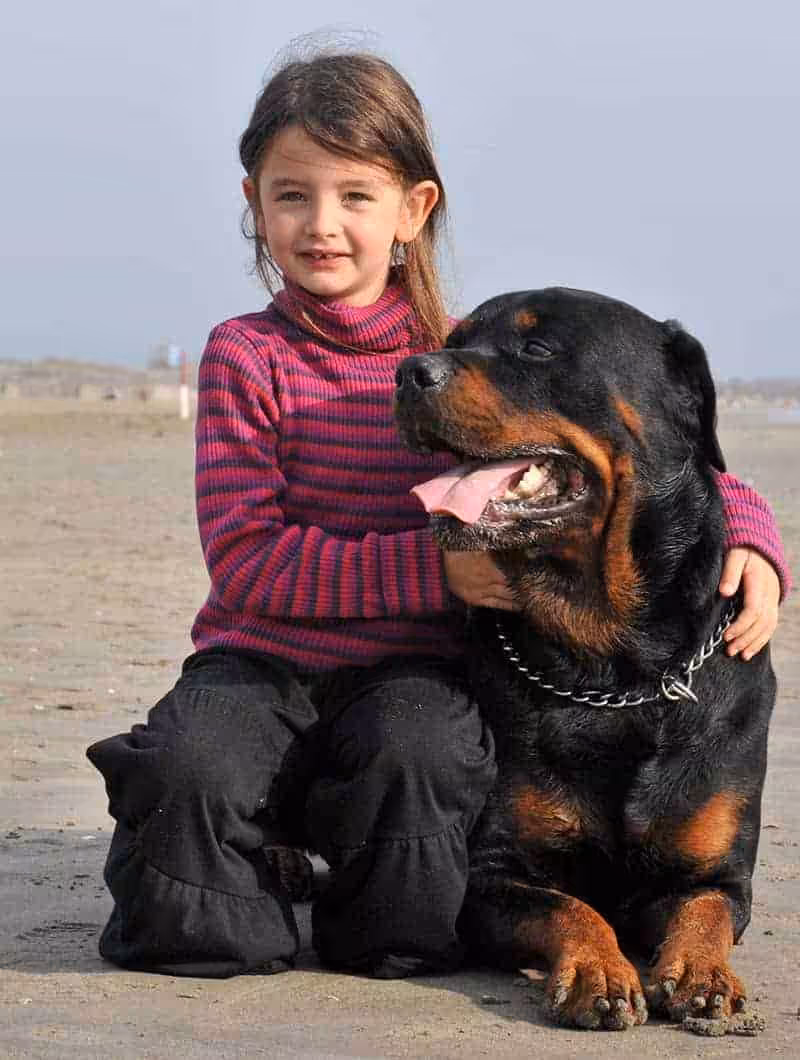 Dla kogo Rottweiler?
