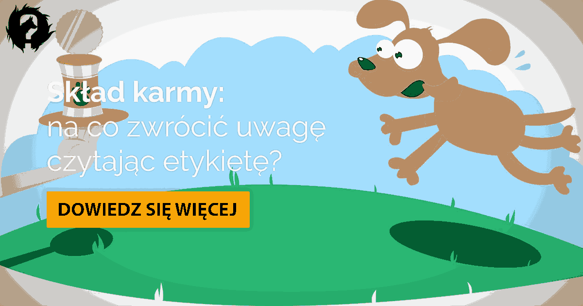 Skład karmy dla psa i kota: jak go czytać i co powinien zawierać - Co w Sierści Piszczy Jak czytać skład karmy?