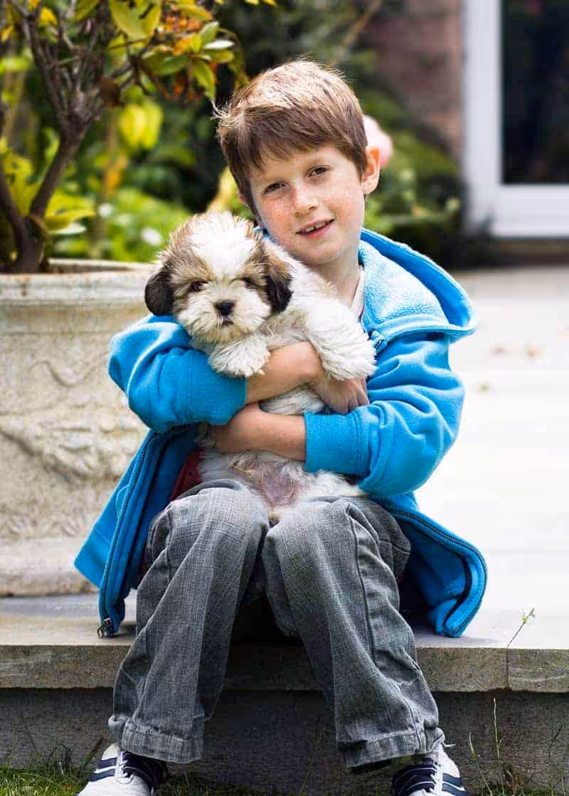 Lhasa apso charakter