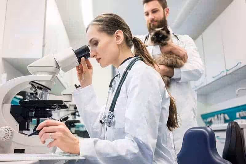 Diagnostyka