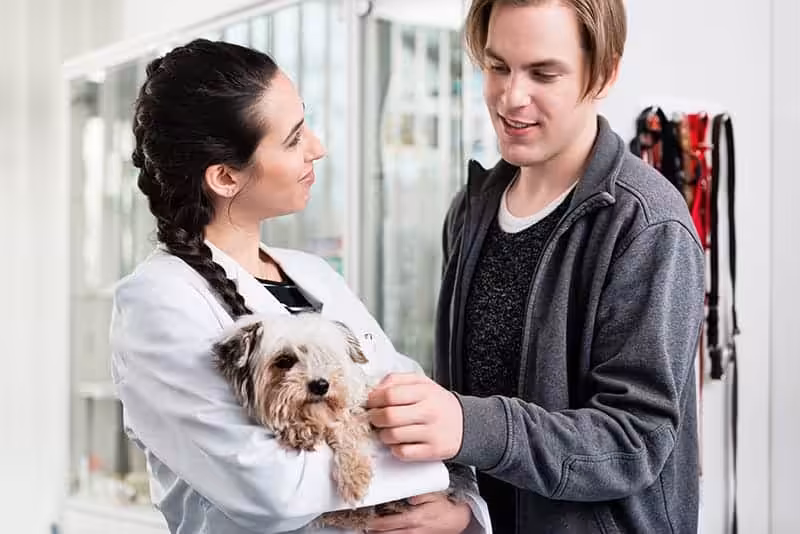 Szpital dla psa i kota: czego się spodziewać i jak przygotować zwierzaka? - Co w Sierści Piszczy Jak przygotować psa/kota na pobyt w szpitalu?