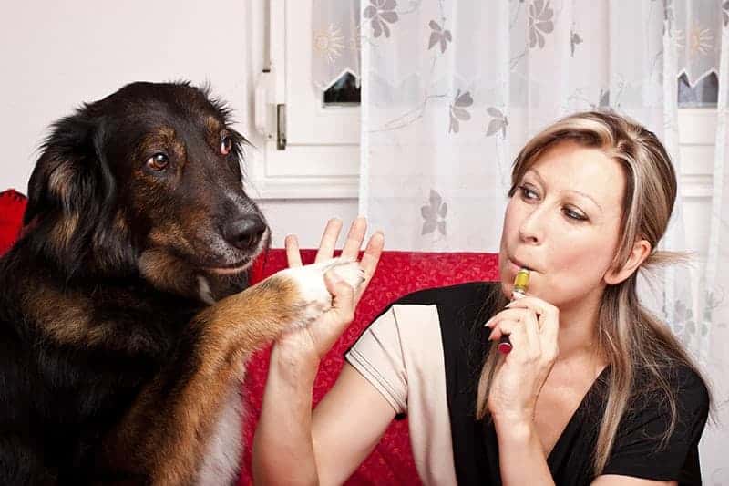 Czy e-papierosy i wapowanie są szkodliwe dla psa i kota?