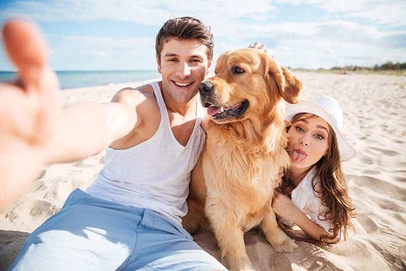 Urlop z psem na plaży