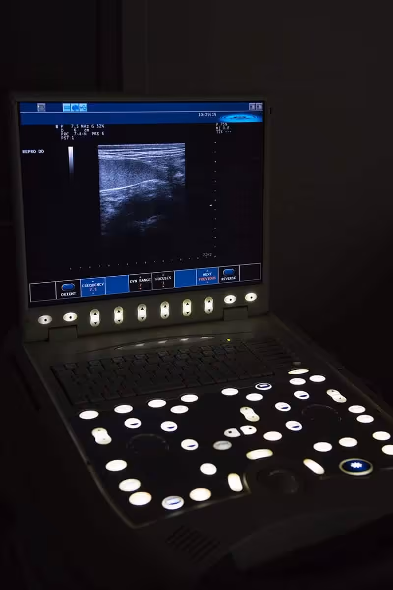 Badanie USG u psa