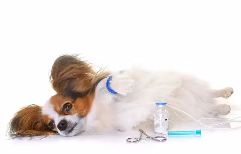 Jak działa chemioterapia?