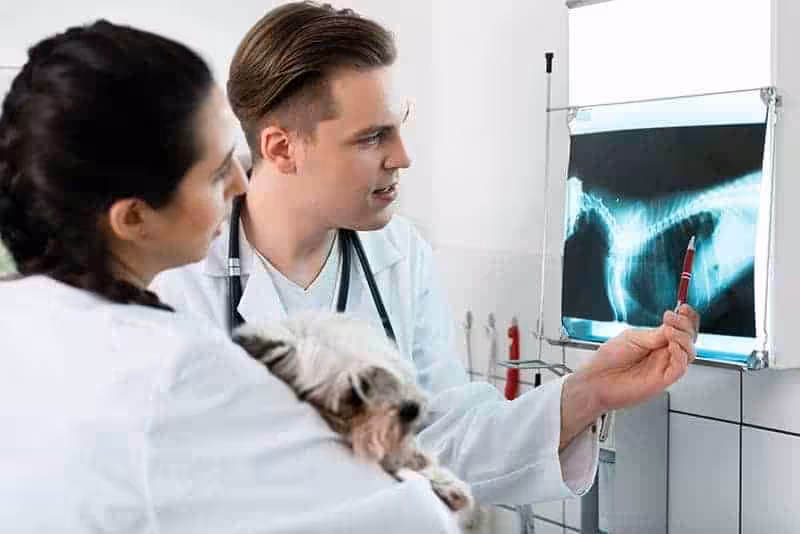 Diagnostyka