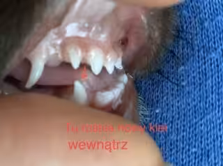 9F71DEB7-F9DF-49C6-98BD-8E9E3A1FF0C2.jpeg