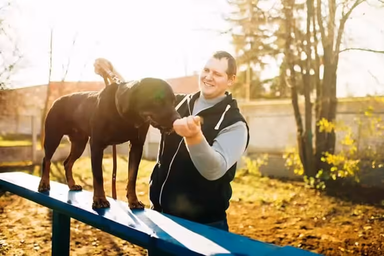 Alternatywa dla awersyjnych metod szkolenia psa