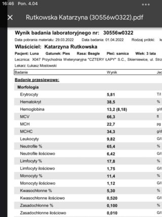 3E20BB53-991B-4A5B-86BD-1EAD5F94F505.png