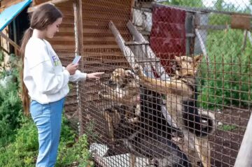 Wolontariat w schronisku